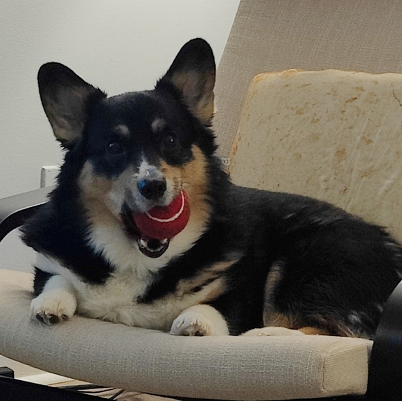 About me! - Picture 5 of 5